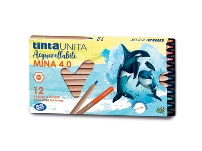 Pastelli Acquerellabili tinta unita da 12 colori